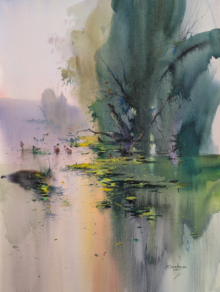 Ion Carchelan-Reflection