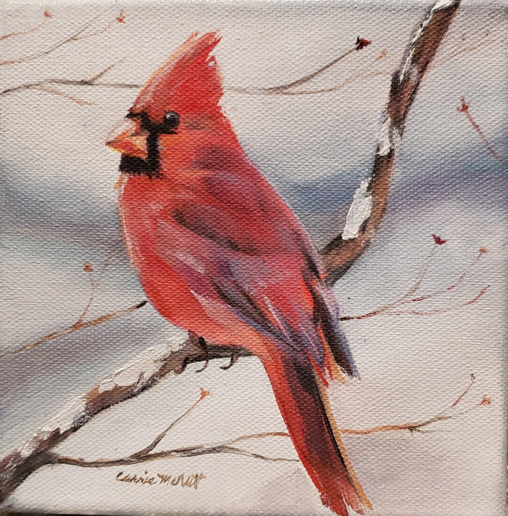 Bare Branch Winter Cardinal