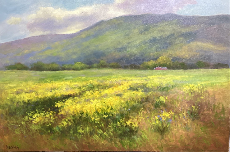 Blooming Mustard Field In Crozet