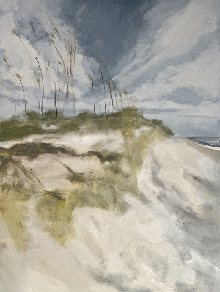 Patricia Fabian-Cascading Dunes