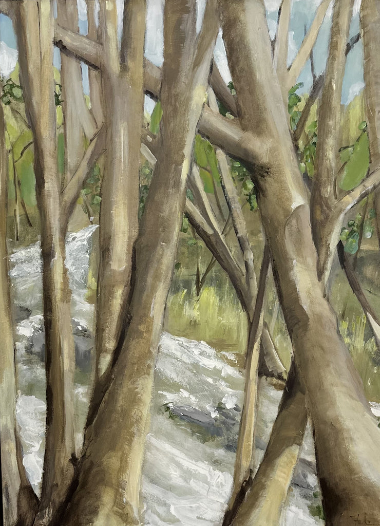 Patricia Fabian-Forest Cathedral