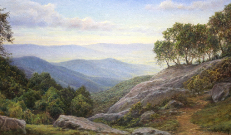 Mountain Valley Mist