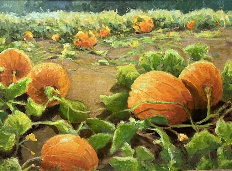 Arlene Daniel-Pumpkin Patch