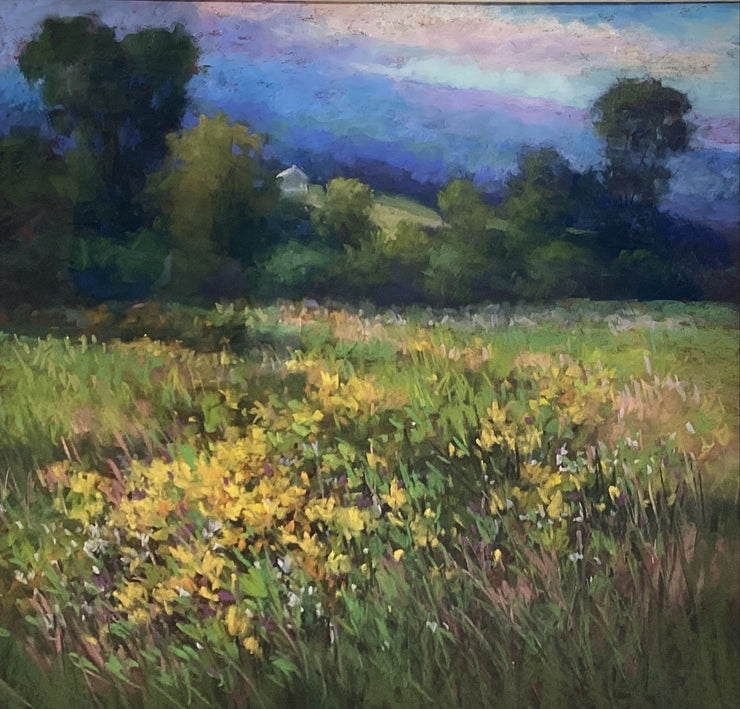 Virginia Meadow In September