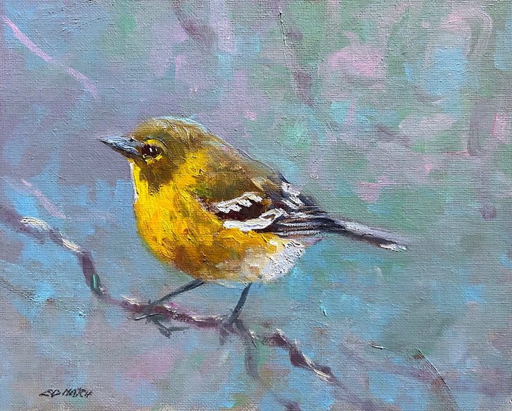 Ed Hatch-Warbler