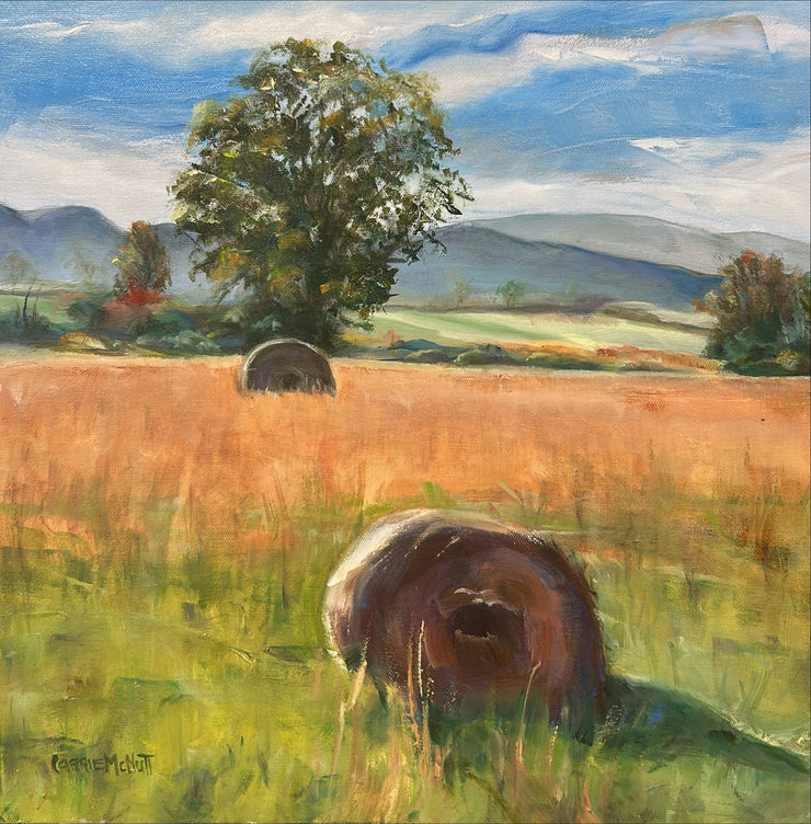 Carrie McNutt-A Pair Of Hay Bales