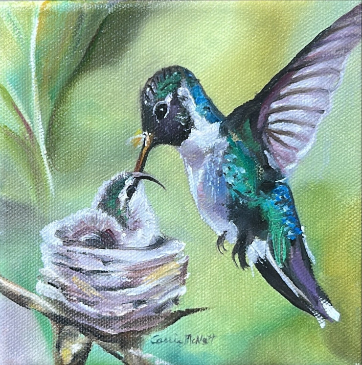 Carrie McNutt-Baby Hummingbird and Mommy