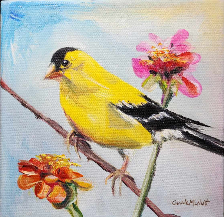 Bright Gold Finch