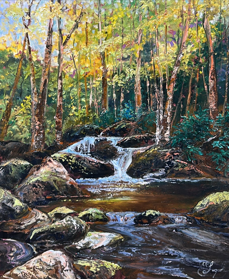 Connie Logan-South Fork