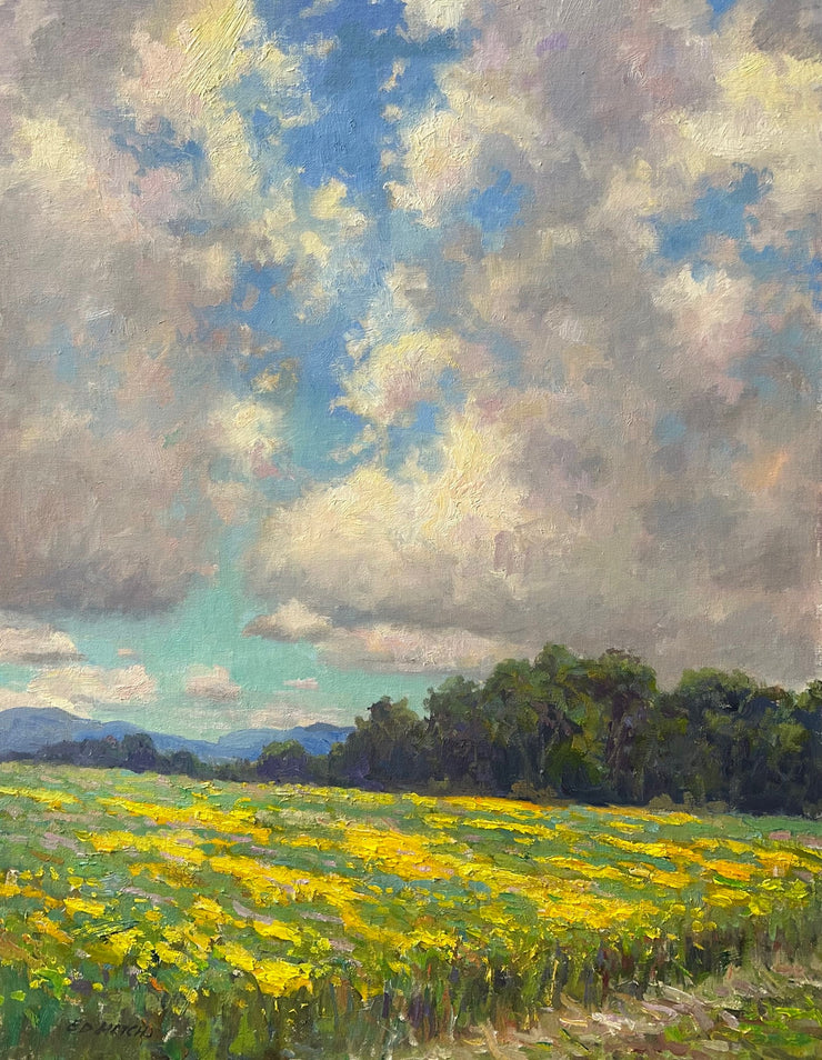 Ed Hatch-Summer Sky – The Little Gallery - Virginia