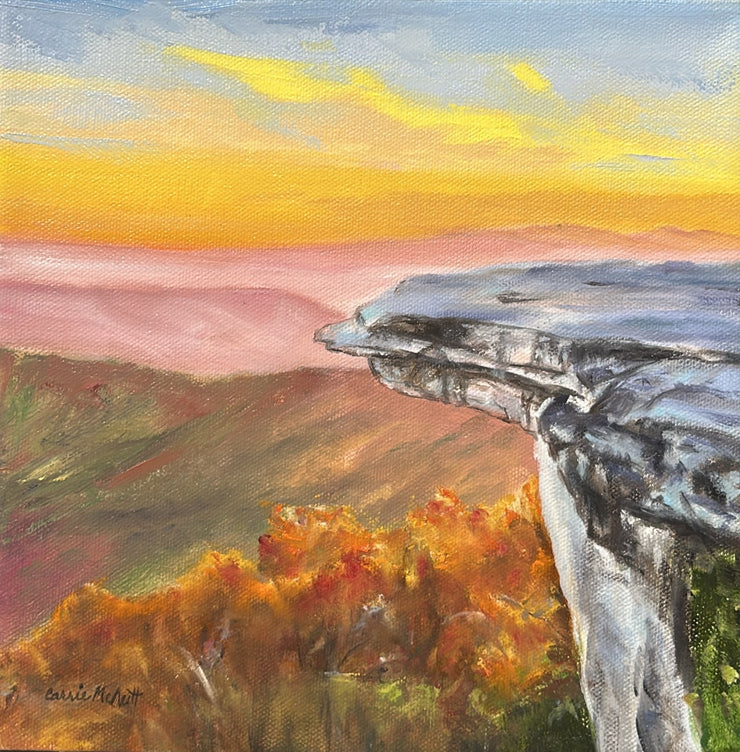 Carrie McNutt-Sunlit McAfee