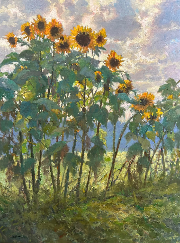Ed Hatch-Sunday Sunflowers – The Little Gallery - Virginia