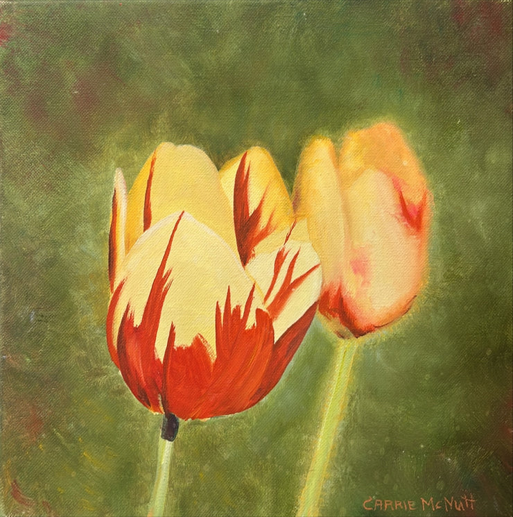 Carrie McNutt-Sunshine Tulip
