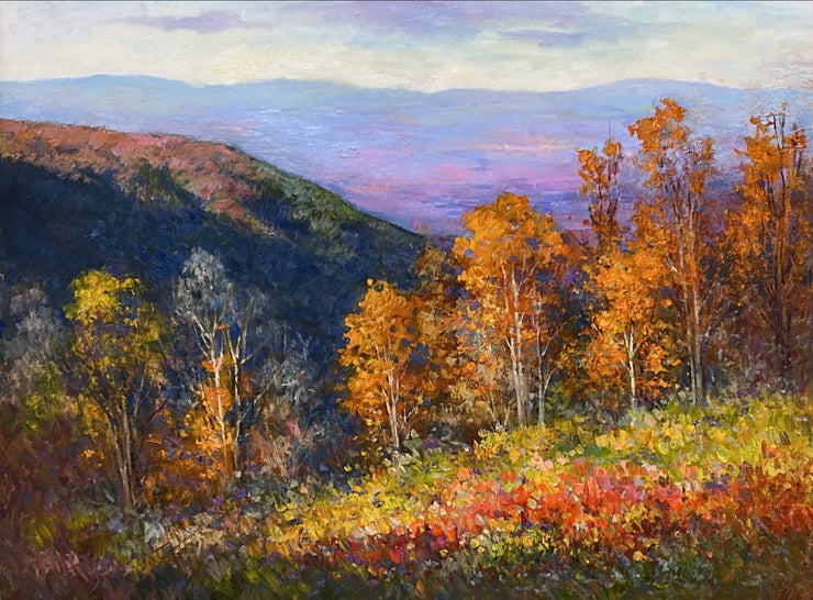 Julia Lesnichy-The BRM In November