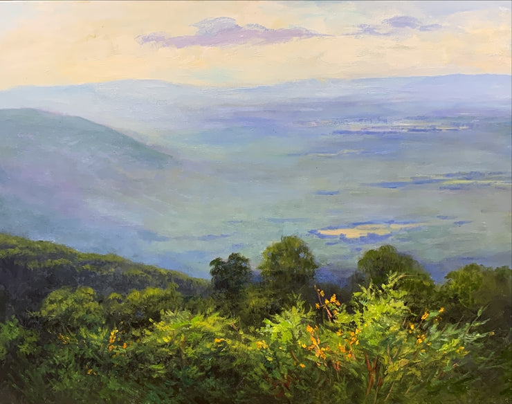 The Blue Ridge Mountains in Late August 1022
